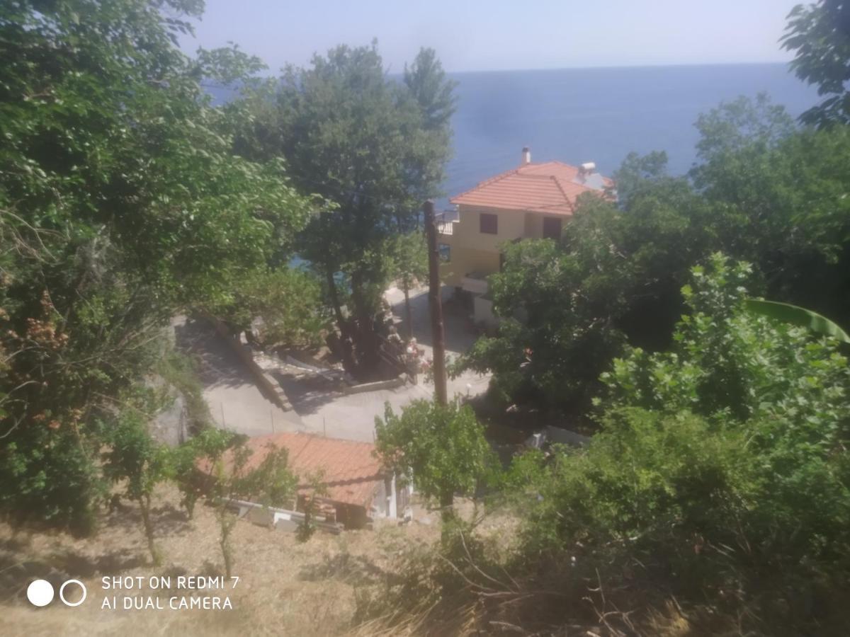 Villa Zisi Livadaki  Zewnętrze zdjęcie