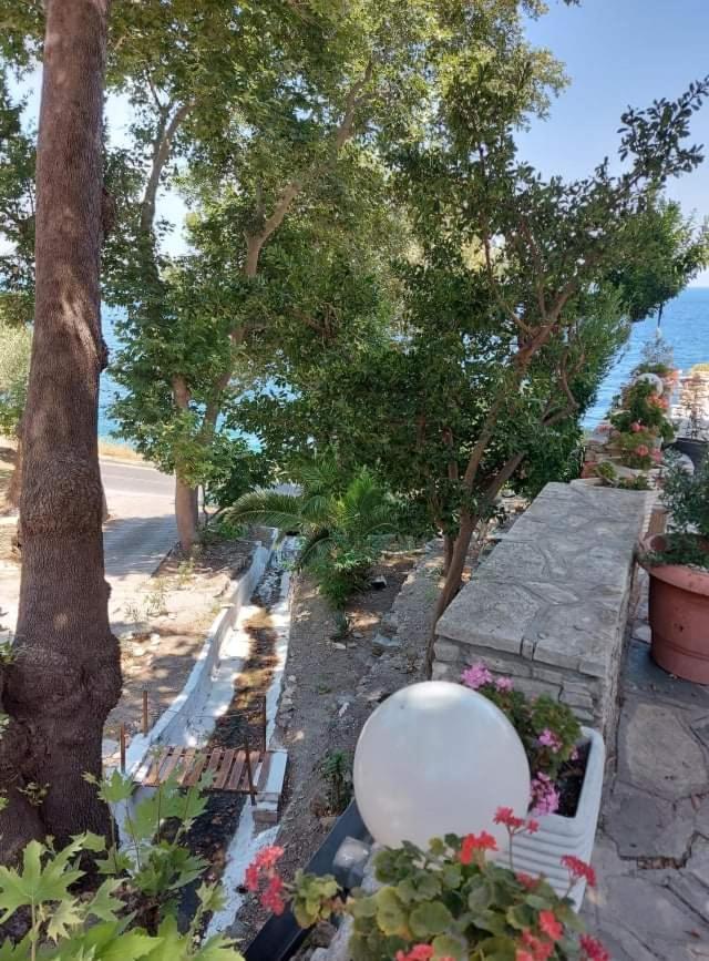 Villa Zisi Livadaki  Zewnętrze zdjęcie