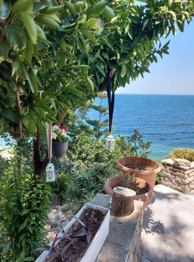 Villa Zisi Livadaki  Zewnętrze zdjęcie